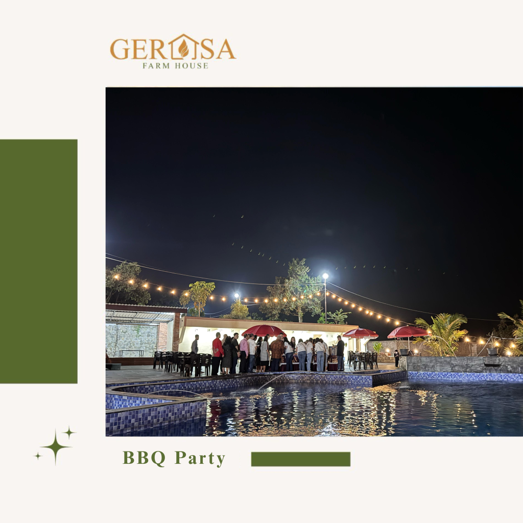 BBQ Party
